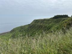 Close to Ravenscar - looking back at Common Cliff